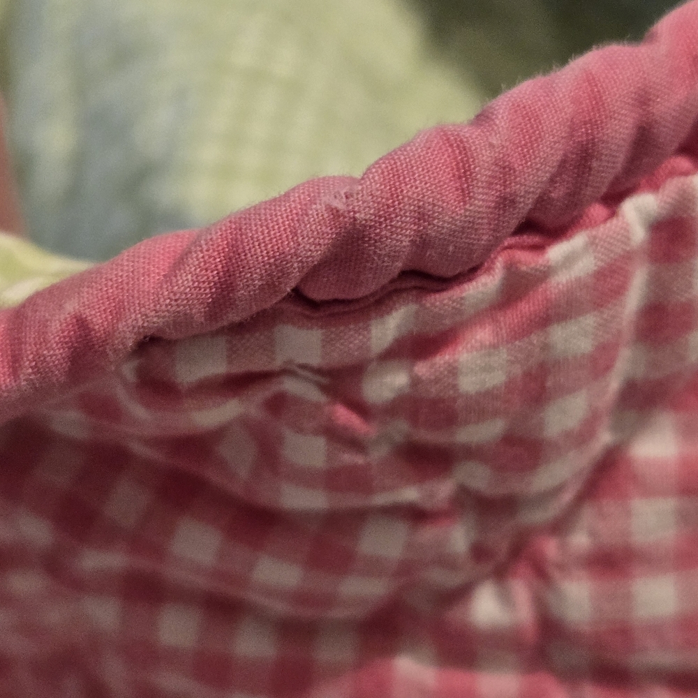 Pottery Barn Kids Eric Carle The Very Hungry Caterpillar Butterfly Gingham Quilt - Picture 14 of 16